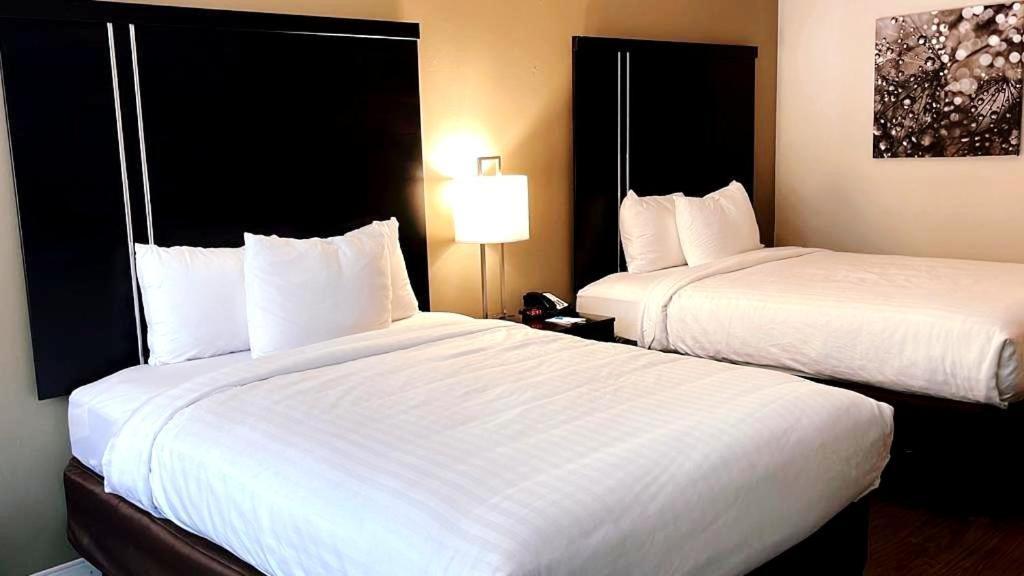 פלורנס Clarion Inn & Suites מראה חיצוני תמונה