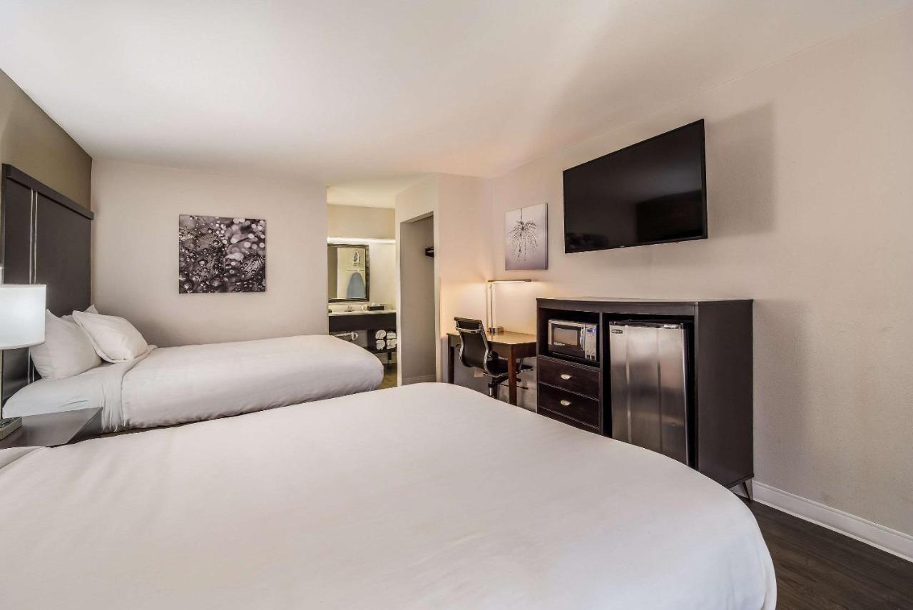 פלורנס Clarion Inn & Suites מראה חיצוני תמונה