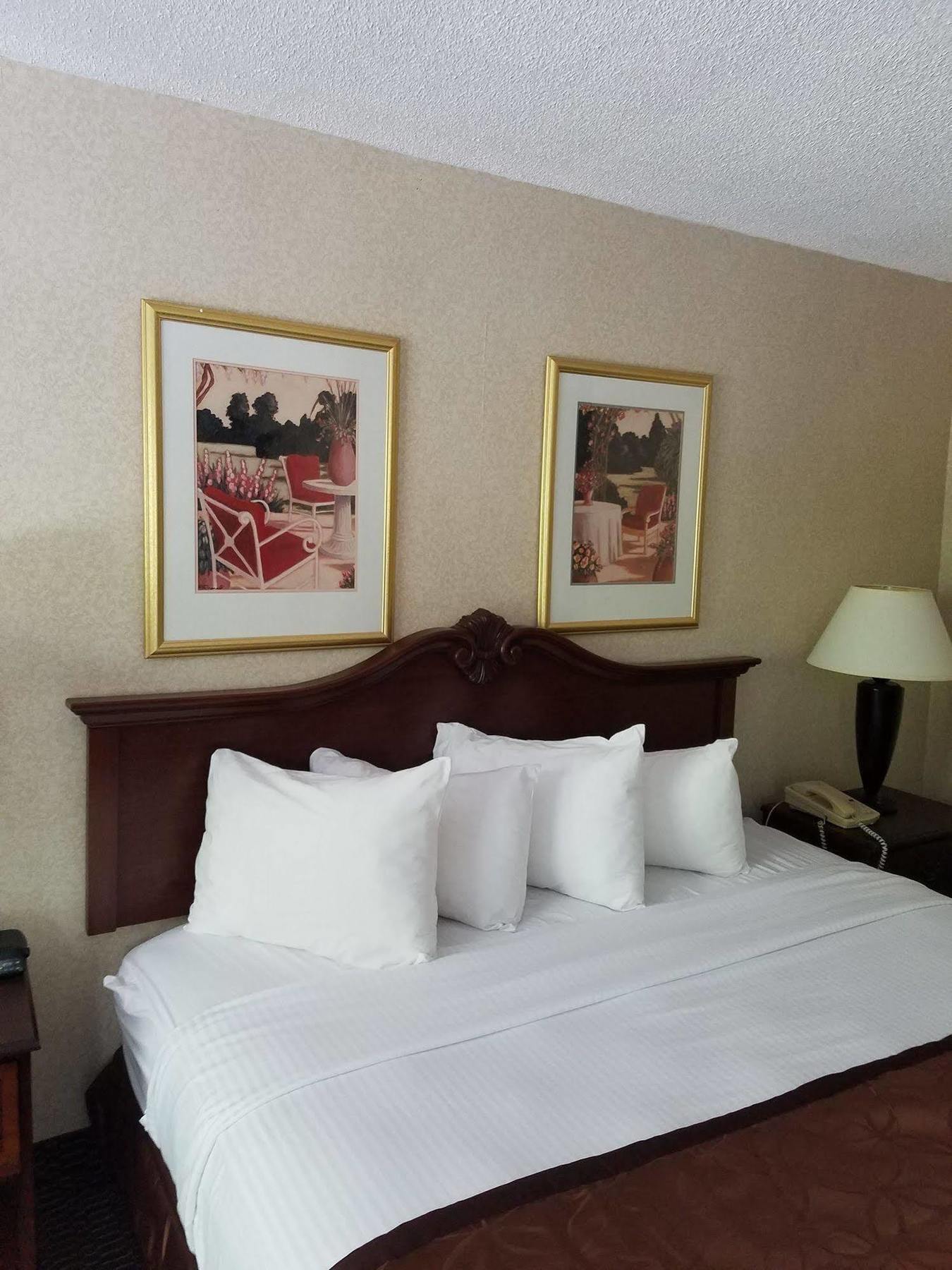 פלורנס Clarion Inn & Suites מראה חיצוני תמונה