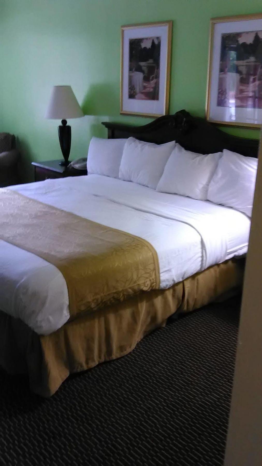 פלורנס Clarion Inn & Suites מראה חיצוני תמונה