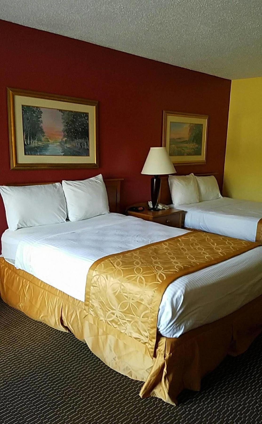 פלורנס Clarion Inn & Suites מראה חיצוני תמונה
