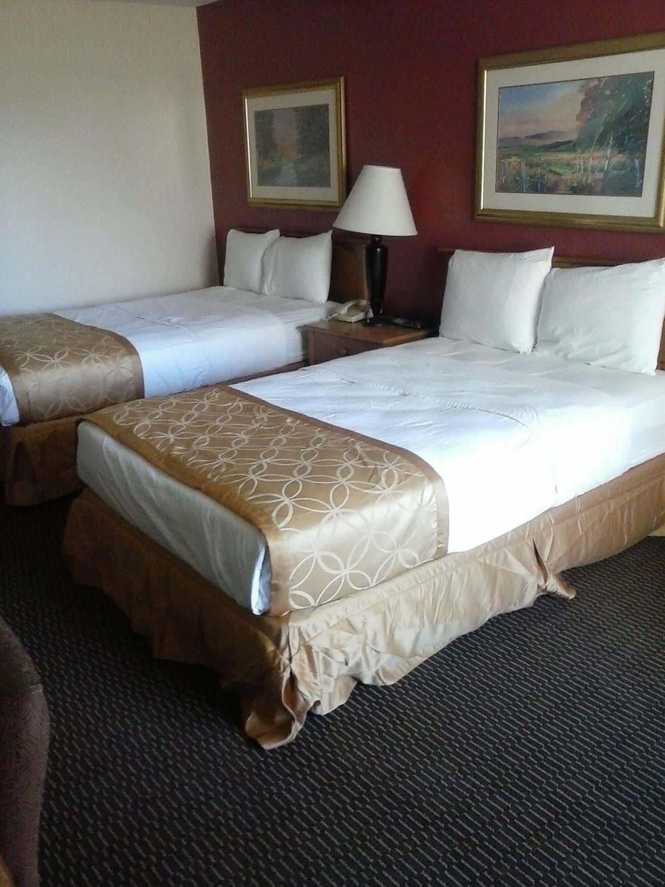 פלורנס Clarion Inn & Suites מראה חיצוני תמונה